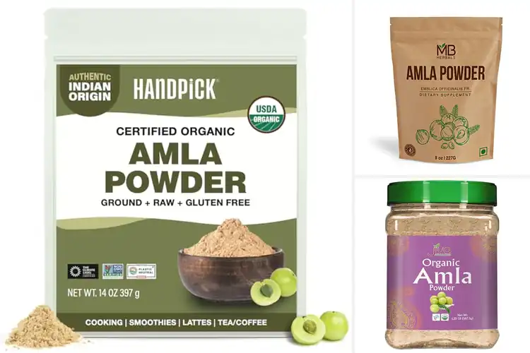 Detailed view of Best Amla Powders: Top 10 Picks for Ultimate Wellness Boost