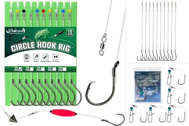 Detailed view of Best Circle Hook Rigs: Catch More Fish with Durable Setups