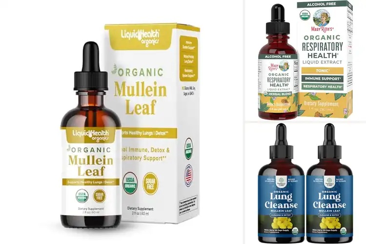 Detailed view of Best Dairy Free Organic Mullein Drops