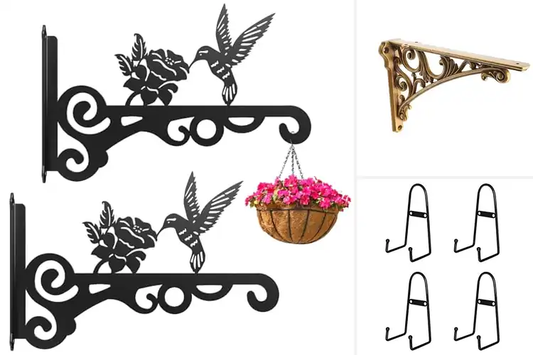 Detailed view of Best Decorative Wall Mounts: Elevate Your Space with Style