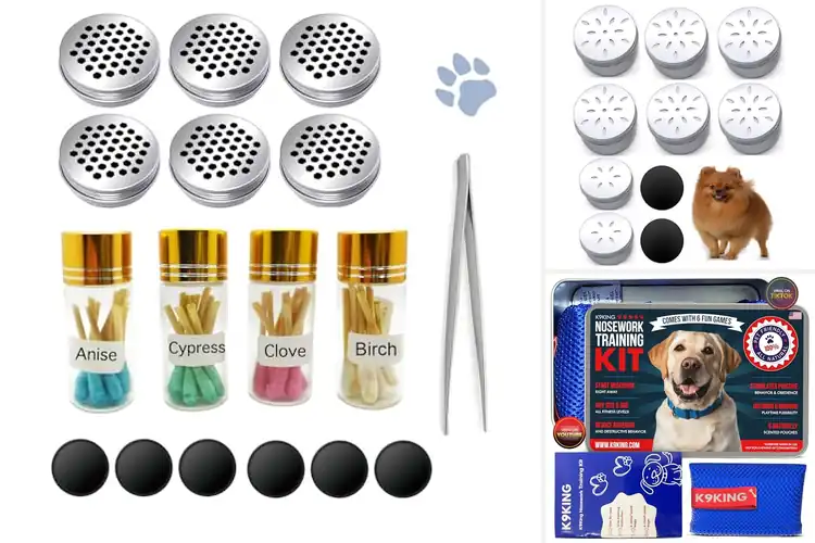 Detailed view of Best Dog Nose Training Supplies