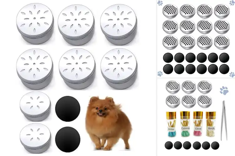 Detailed view of Best Dog Scent Training Boxes