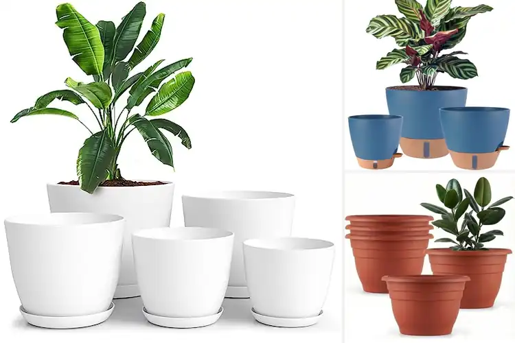 Detailed view of Best Durable Plant Pots That Last Forever