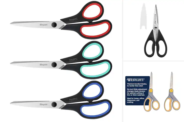 Detailed view of Best Durable Scissors