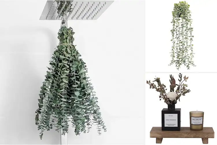 Detailed view of Best Farmhouse Decor Accessories for Cozy Charm