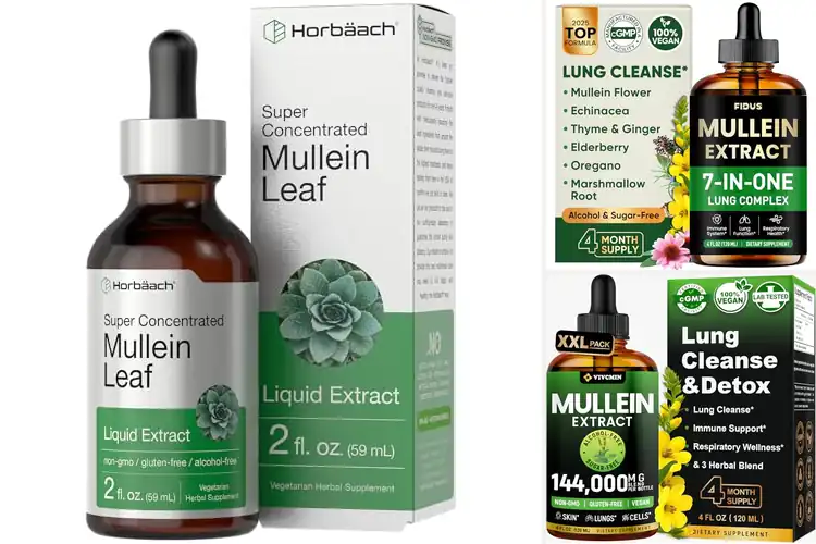 Detailed view of Best Gluten Free Mullein Lung Tincture