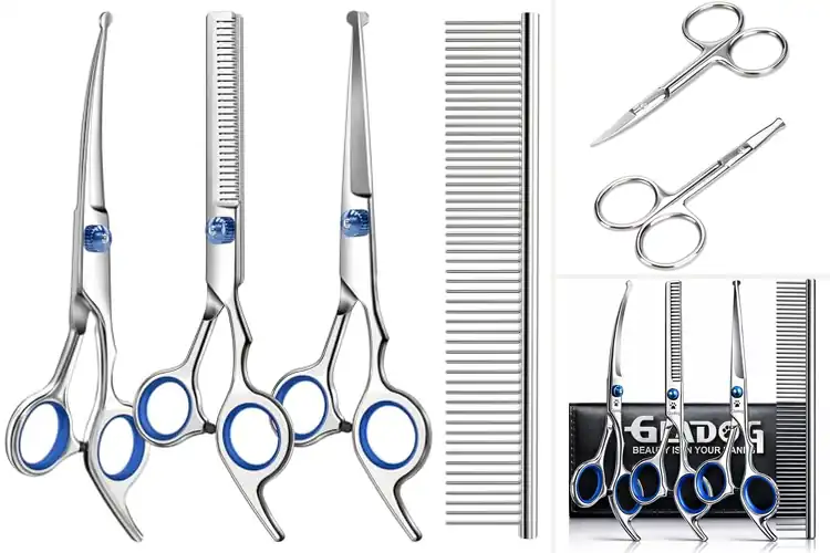 Detailed view of Best Grooming Scissors: Top 10 Picks for Effortless Styling