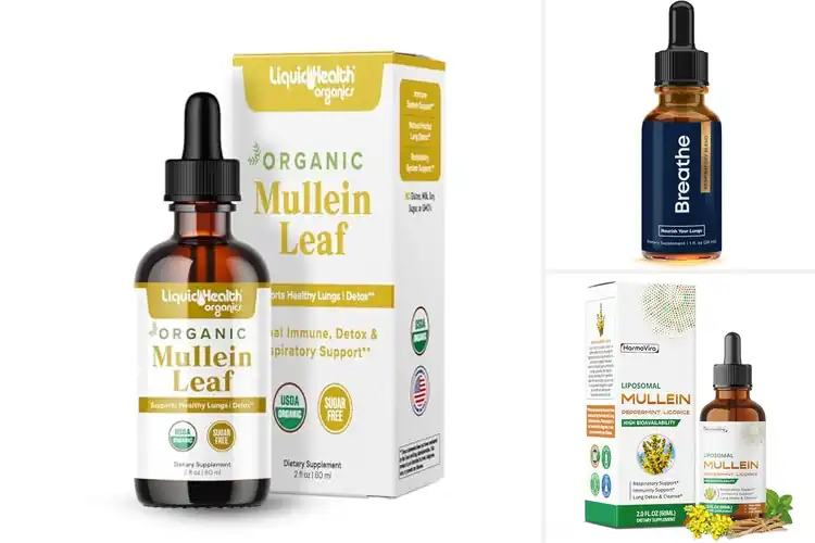 Detailed view of Best Herbal Drops For Respiratory Clarity