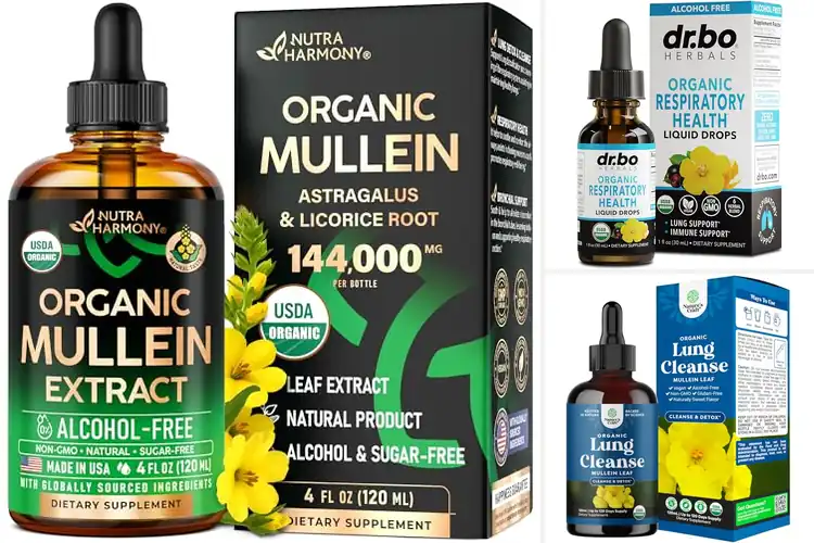 Detailed view of Best Herbal Lung Detox Drops For Clear Airways
