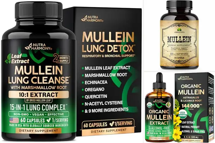 Detailed view of Best Herbal Lung Detox Supplements