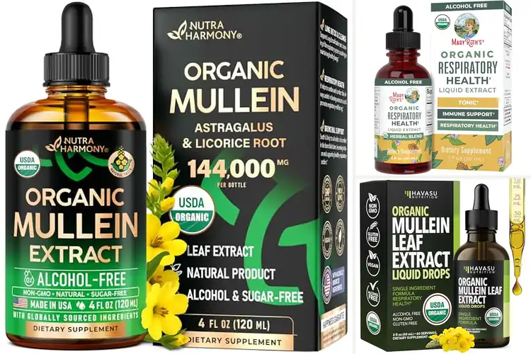 Detailed view of Best Herbal Lung Tinctures for Easy Breathing