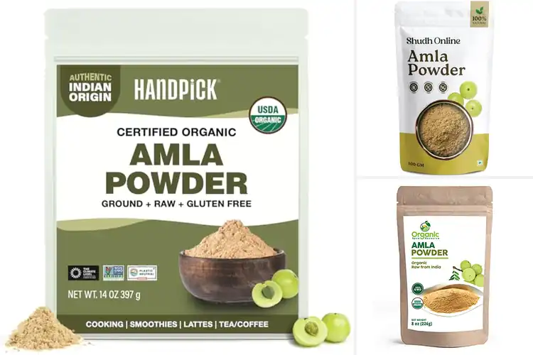 Detailed view of Best Indian Amla Powders: Pure Nourishment for Health & Hair