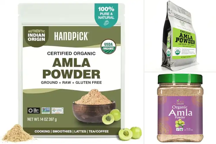 Detailed view of Best Lab Tested Amla Powders for Daily Wellness Boost