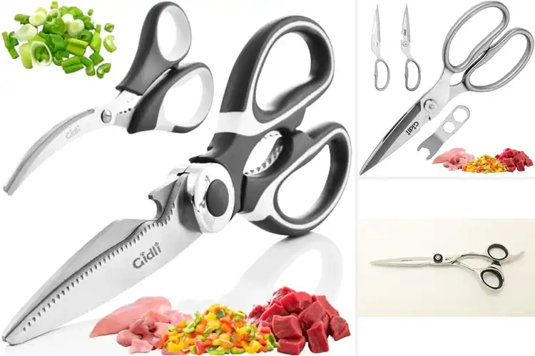 Detailed view of Best Lifetime Warranty Scissors – Sharp, Rust-Free Cuts