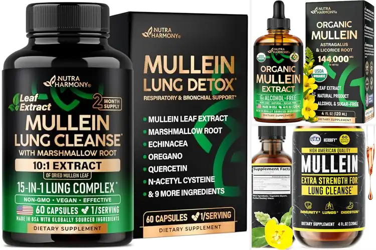Detailed view of Best Lung Detox for Smokers