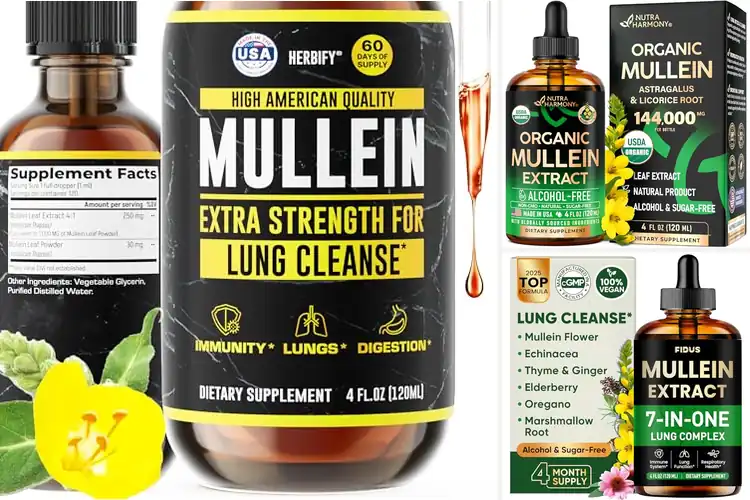 Detailed view of Best Mullein Drops For Smokers Lung Detox