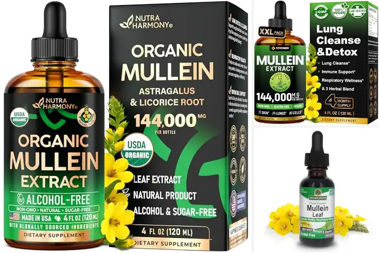 Detailed view of Best Mullein Drops: Top 10 Picks for Easy Breathing
