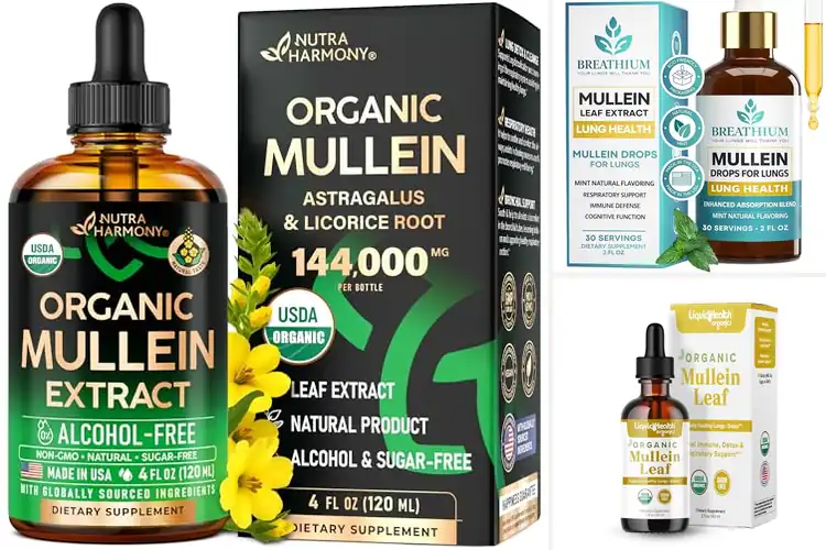 Detailed view of Best Mullein Extract Drops For Mucus Removal