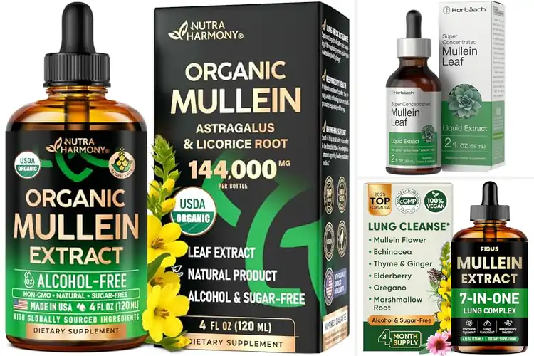 Detailed view of Best Mullein Extracts: Top 10 Picks for Respiratory Wellness