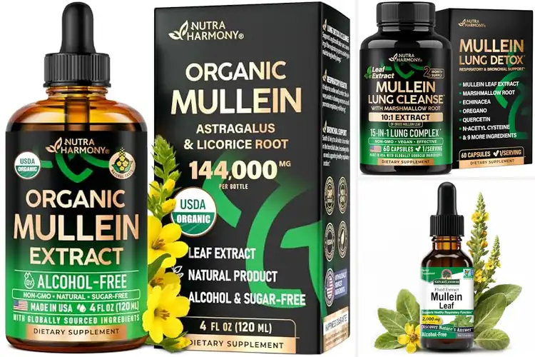 Detailed view of Best Mullein Leaf Extracts For Lungs