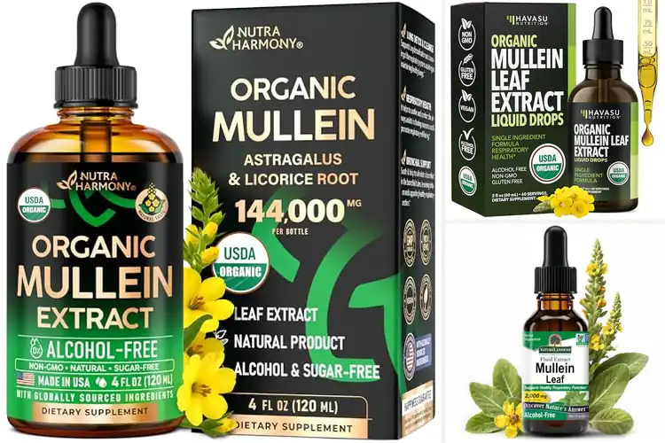 Detailed view of Best Mullein Leaf Extracts: Top 10 Lung Health Boosters