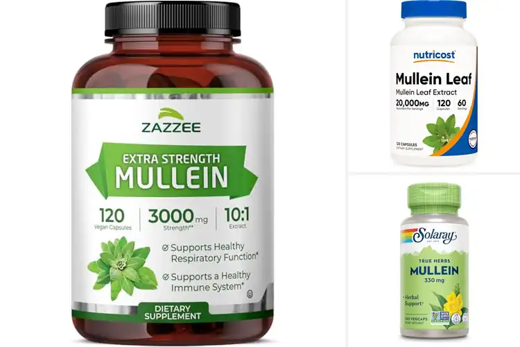 Detailed view of Best Mullein Leaf Supplements