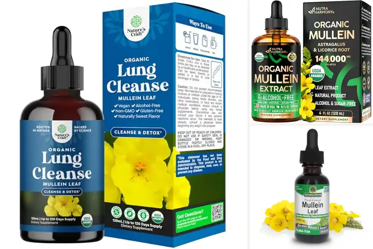 Detailed view of Best Mullein Leaf Tincture Drops For Breathing Support