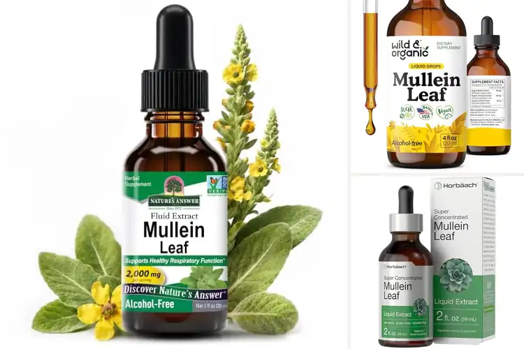 Detailed view of Best Mullein Leaf Tinctures