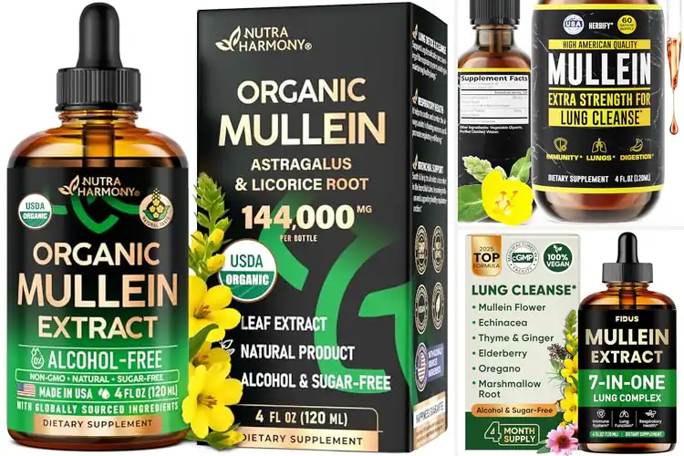 Detailed view of Best Mullein Lung Cleaning Drops: Breathe Easier Naturally