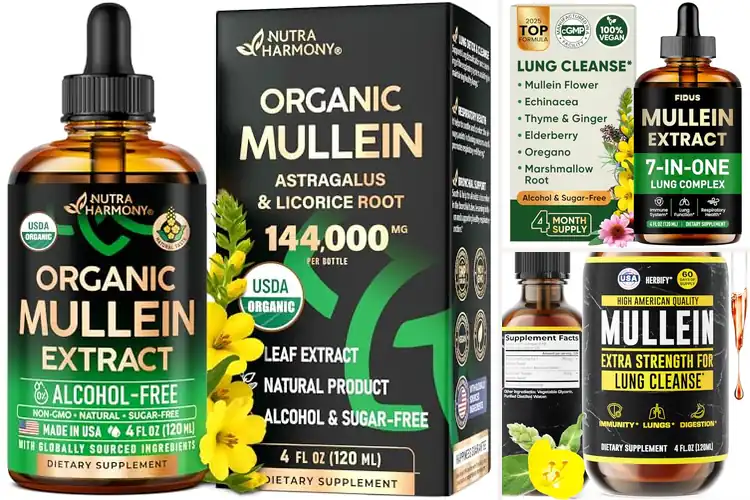 Detailed view of Best Mullein Lung Drops: Clearer Breathing Starts Here