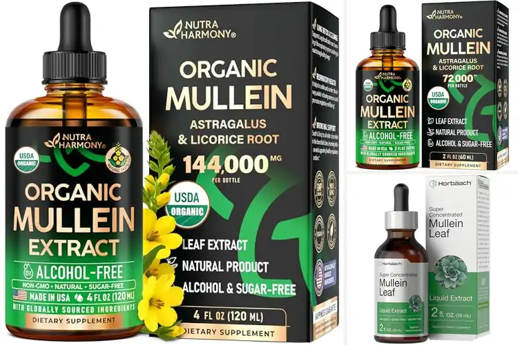 Detailed view of Best Mullein Tincture Supplements