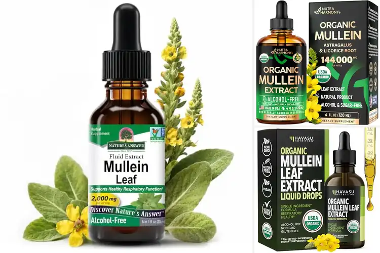Detailed view of Best Mullein Tinctures for Clear, Calm Lung Support