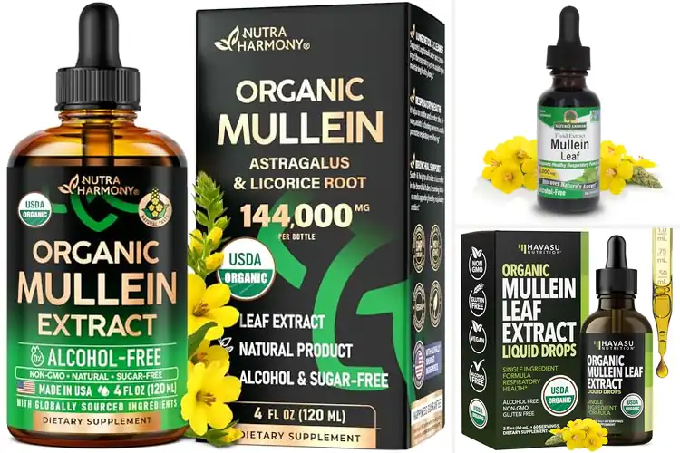 Detailed view of Best Non-GMO Mullein Drops For Lung Support