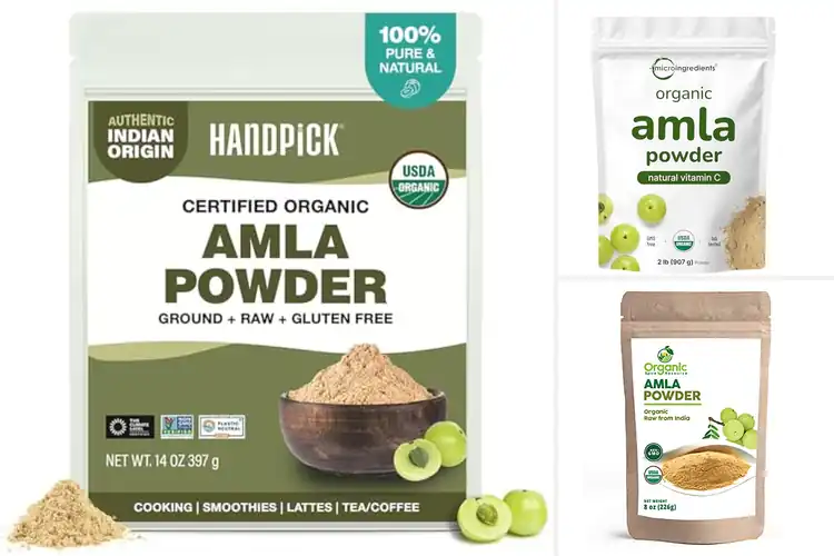 Detailed view of Best Organic Amalaki Powders: Boost Your Health Naturally