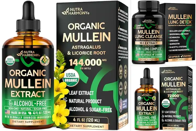 Detailed view of Best Organic Lung Cleanse Products