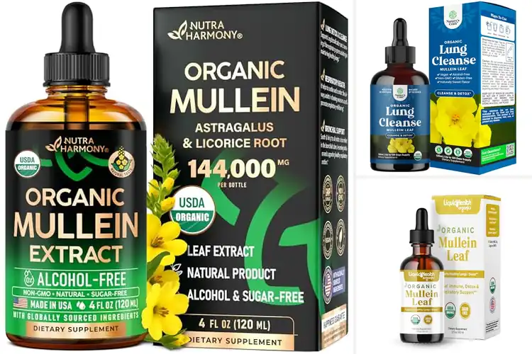 Detailed view of Best Organic Lung Cleanses for Clear, Easy Breathing