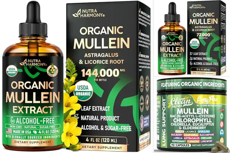Detailed view of Best Organic Lung Detox Supplements