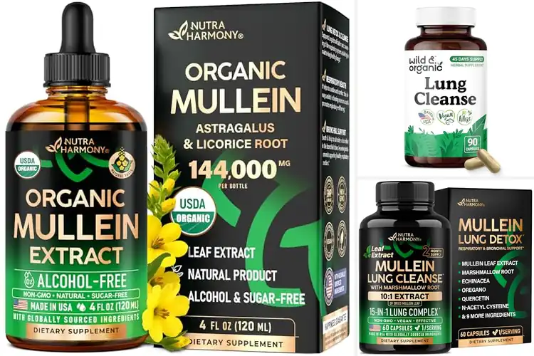Detailed view of Best Organic Lung Supplements