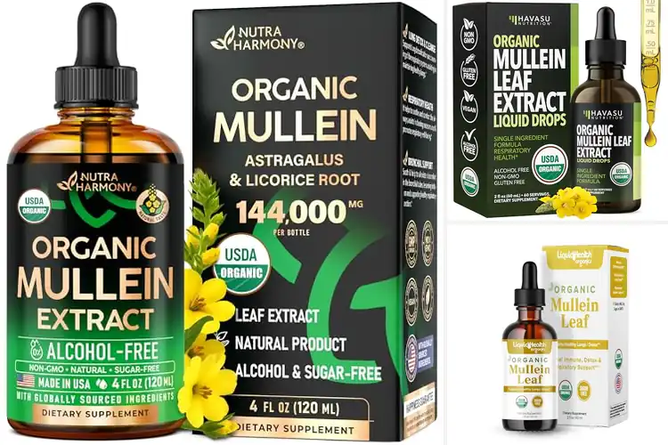 Detailed view of Best Organic Mullein Drops
