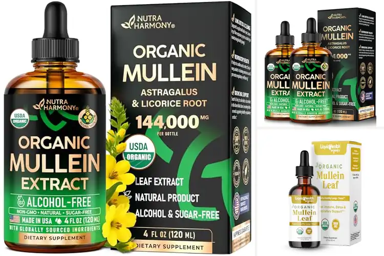Detailed view of Best Organic Mullein Leaf Extracts
