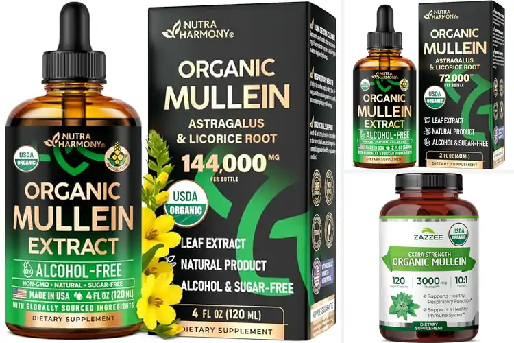 Detailed view of Best Organic Mullein Products