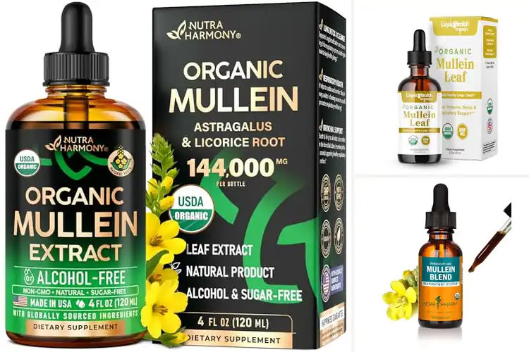 Detailed view of Best Organic Mullein Tinctures