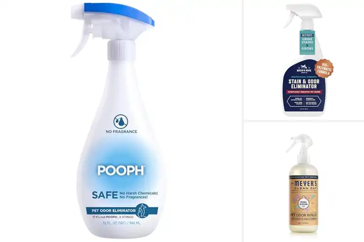 Detailed view of Best Pet Odor Sprays
