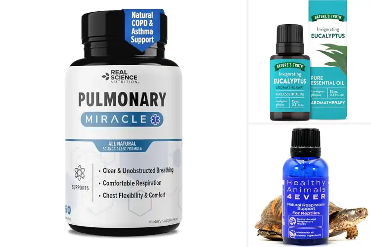 Detailed view of Best Respiratory Clarity Aids
