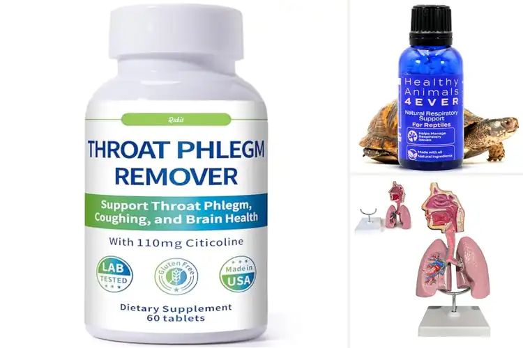 Detailed view of Best Respiratory Clarity Products