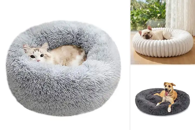 Detailed view of Best Self Warming Donut Beds: Top 10 Cozy Picks for Your Pet