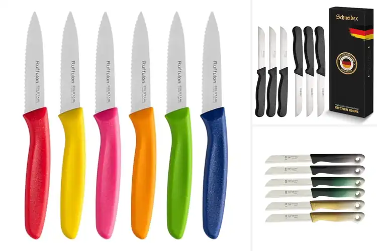 Detailed view of Best Serrated Fruit Knives