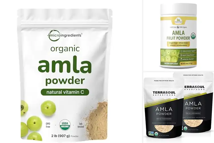 Detailed view of Best Single Origin Amla Powders