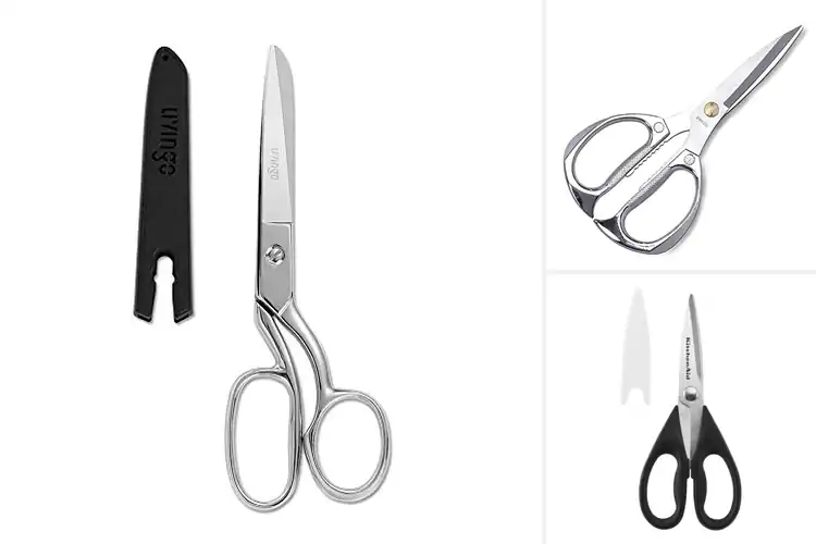 Detailed view of Best Stainless Steel Shears