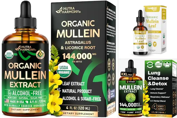 Detailed view of Best Sugar Free Mullein Lung Drops